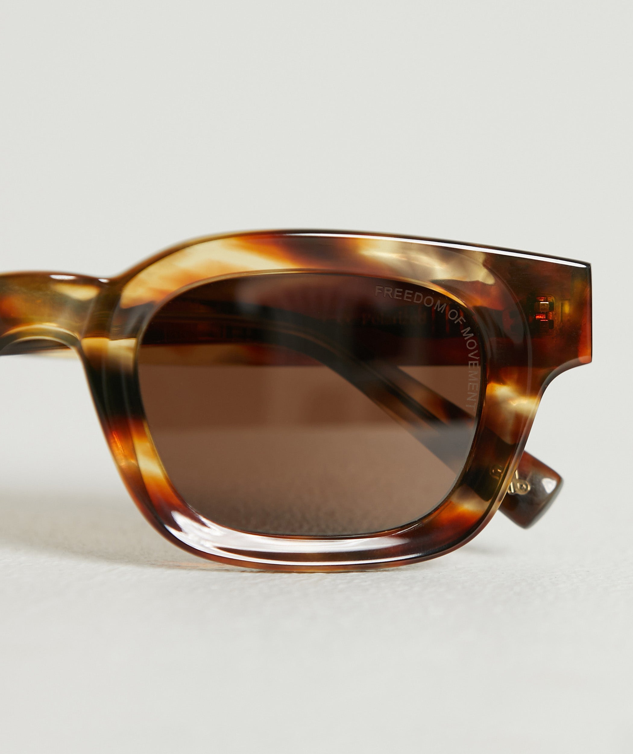 Knox - Tortoise (Polarized)